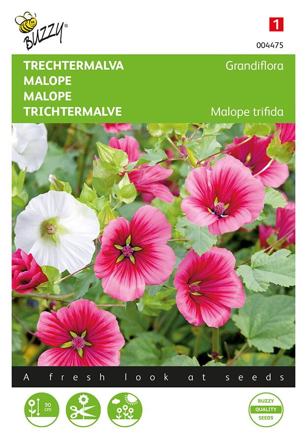 Buzzy® Trechtermalva zaden - Grandiflora - gemengd afbeelding