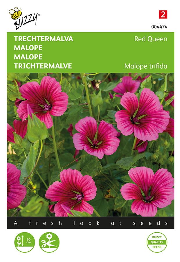 Buzzy Malope, Trechtermalva Red Queen afbeelding
