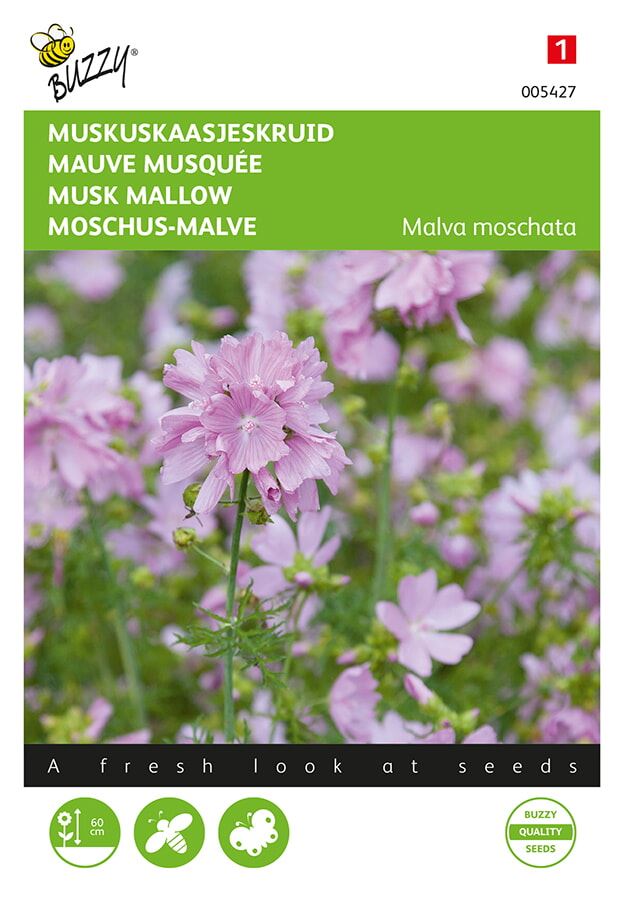 Buzzy® Muskus Kaasjeskruid zaden - roze afbeelding
