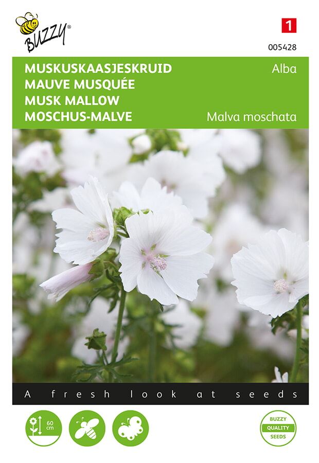 Buzzy® Muskus Kaasjeskruid zaden - Alba - wit afbeelding