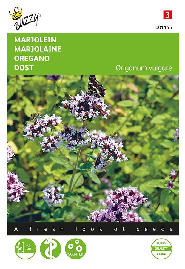 Buzzy® Marjolein zaden - Oregano afbeelding