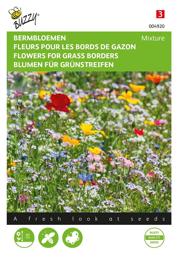 Buzzy bloemenweide - Bloemenmengsel voor grasranden afbeelding