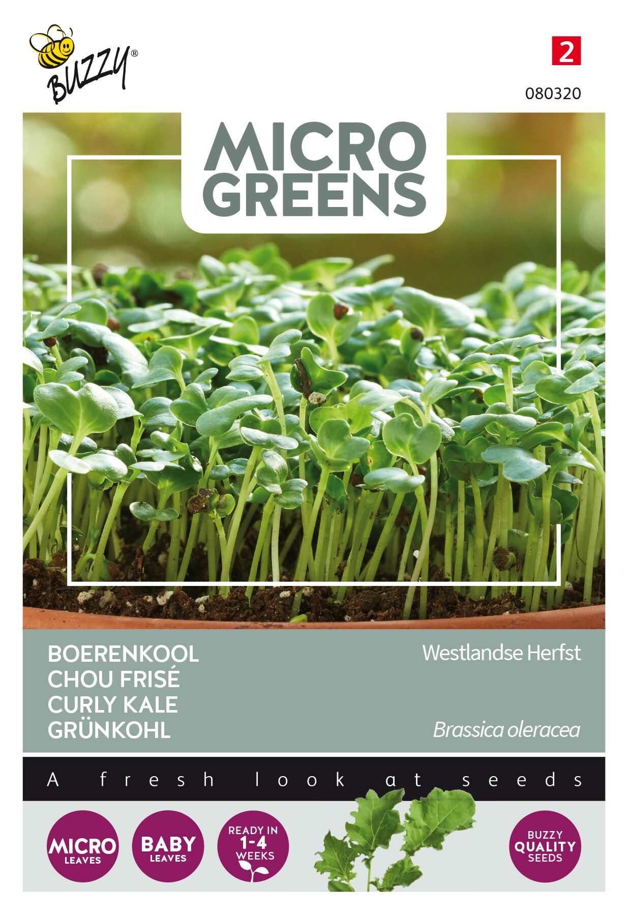 Buzzy® Microgreens - Boerenkool zaden afbeelding