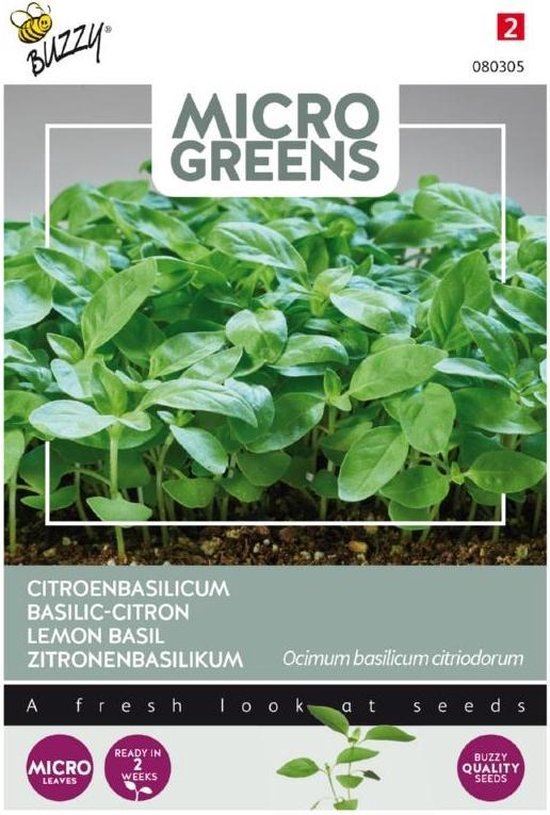 Buzzy® Citroenbasilicum zaden - microgreen afbeelding