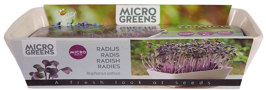 Buzzy Microgreens Dish - Daikon Radijs afbeelding