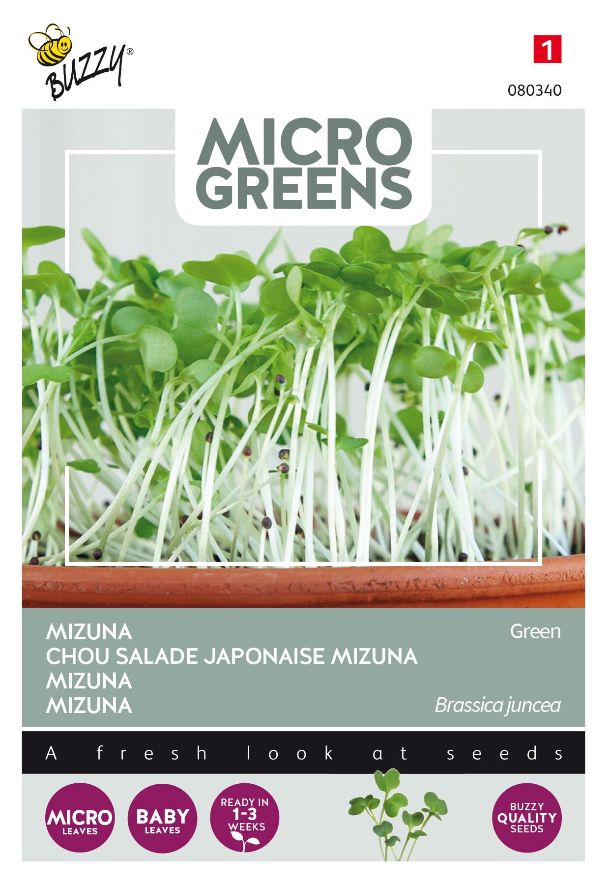 Buzzy® Microgreens - Mizuna zaden afbeelding
