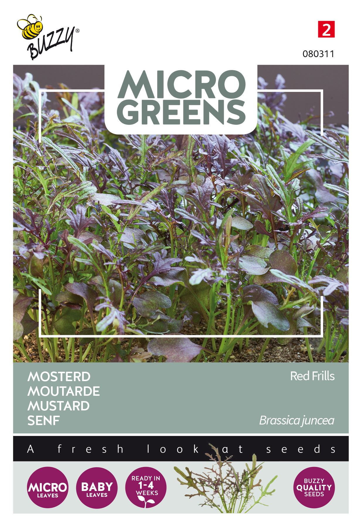 Buzzy® Microgreens - Mosterd zaden - Red Frills afbeelding