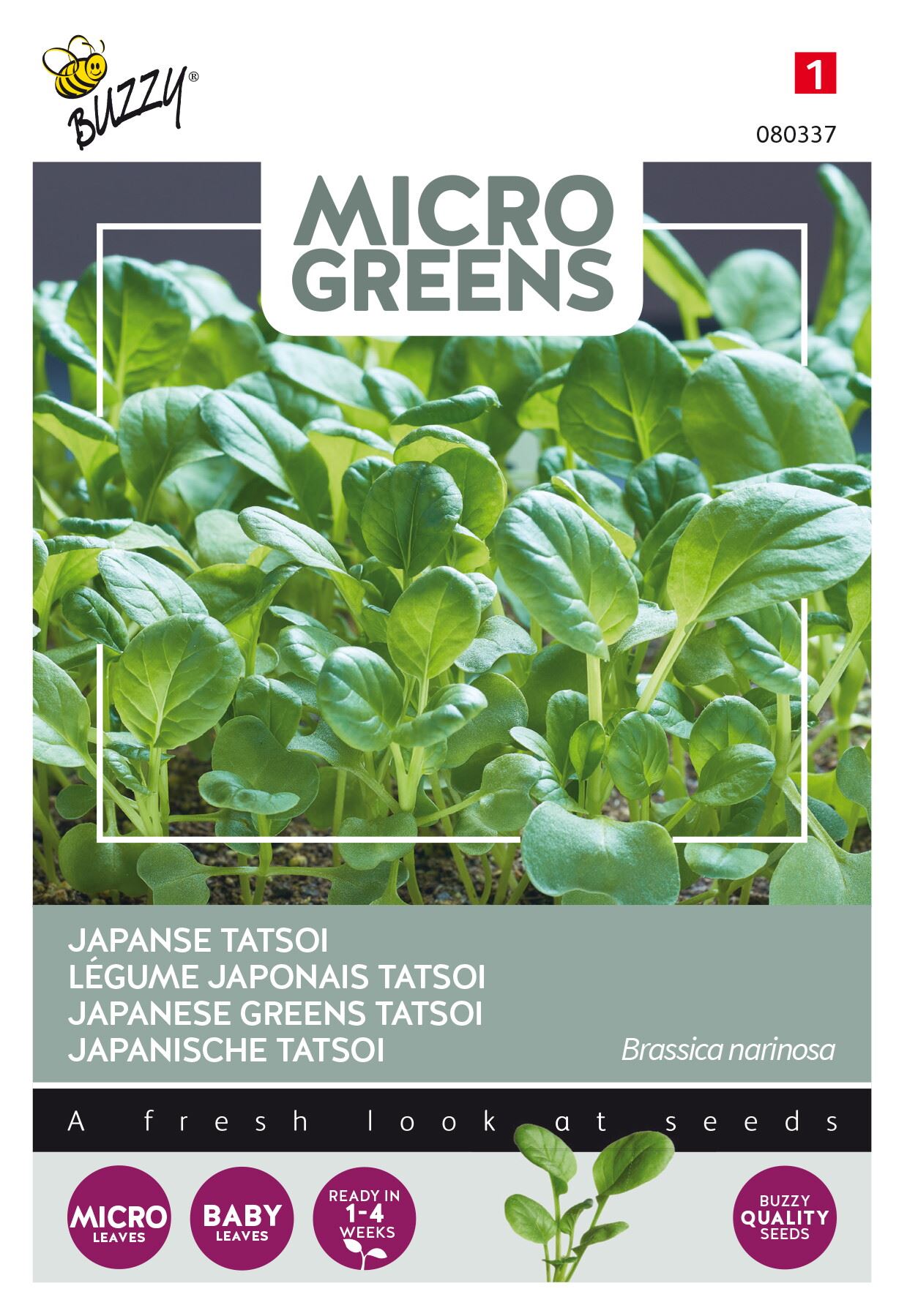 Buzzy® Microgreens - Japanse Tatsoi zaden afbeelding