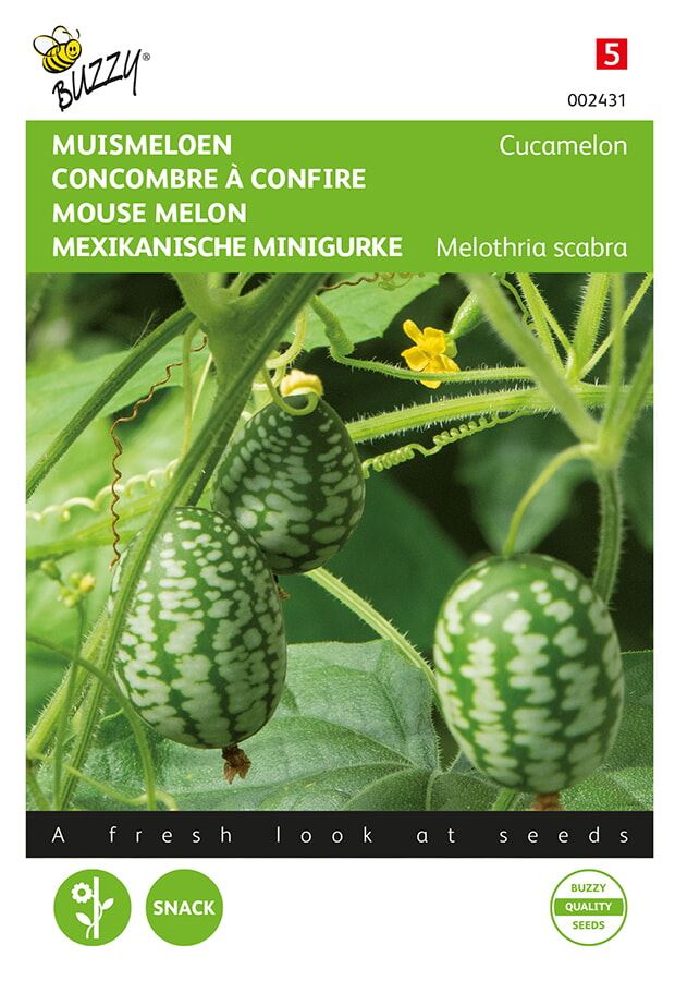 Buzzy® Muis-Meloen zaden - Cucamelon afbeelding