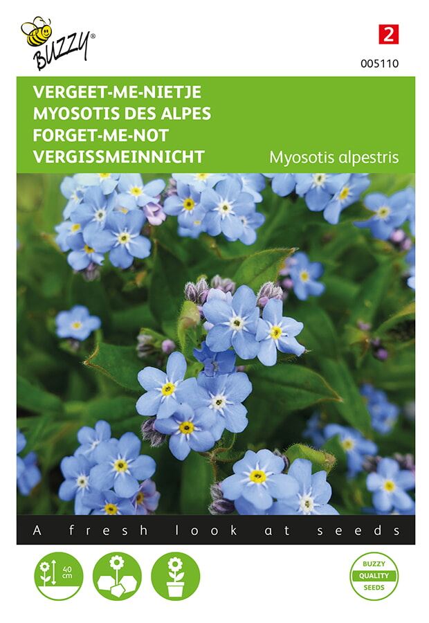 Buzzy® bloemzaden - Vergeet-me-nietje - blauw afbeelding