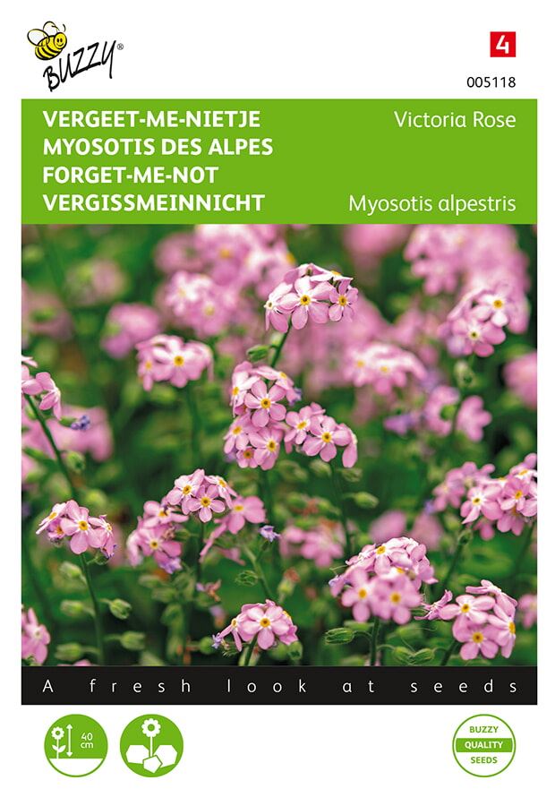 Buzzy® Vergeet-me-nietje zaden - Victoria Rose afbeelding