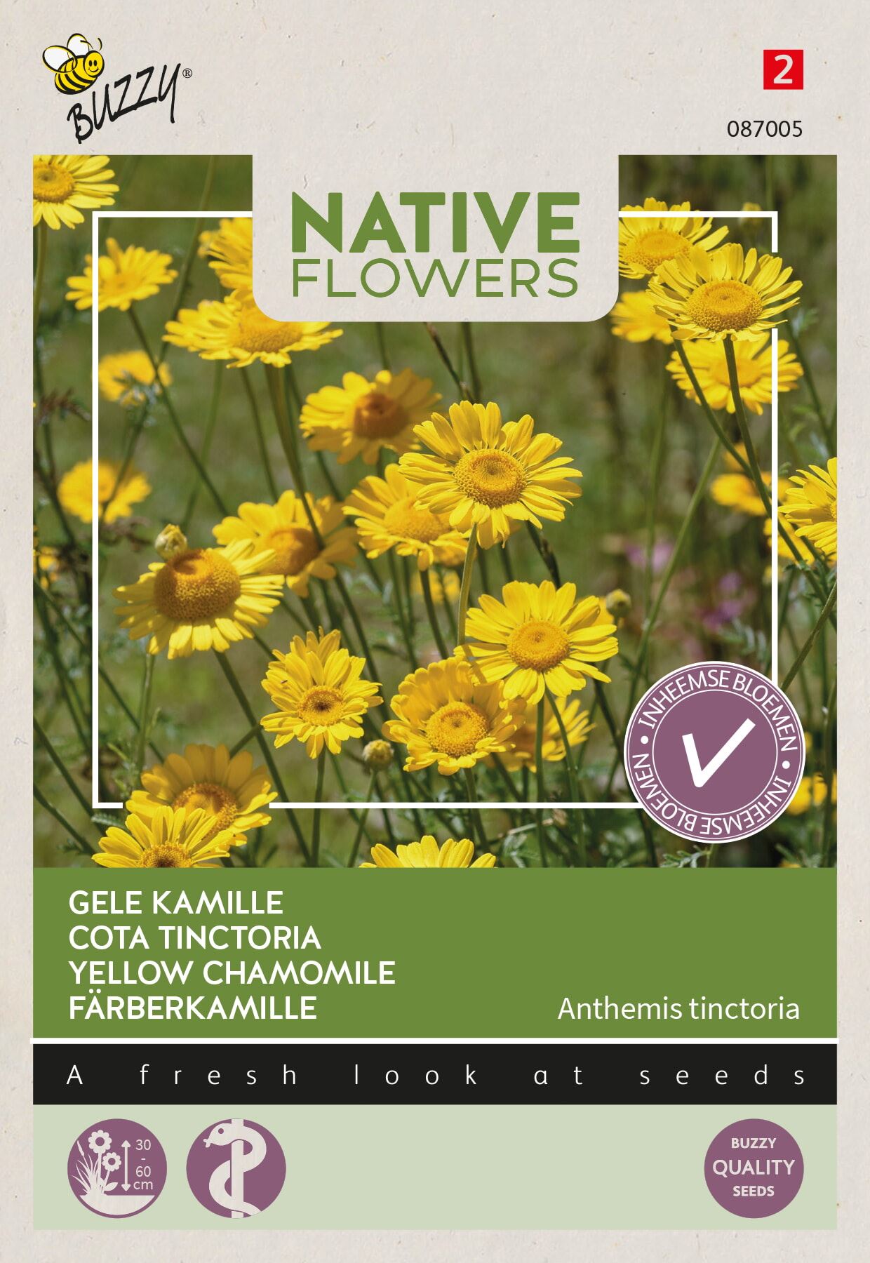Buzzy Gele Kamille Anthemis Tinctoria - Natuurlijke Bermenbloem - Geneeskrachtige Eigenschappen afbeelding