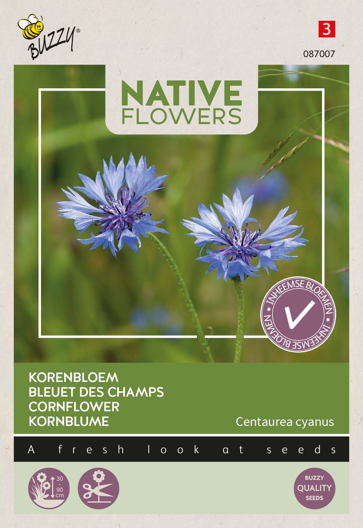 Buzzy Korenbloem Centaurea Cyanus - Prachtig Hemelsblauw - Aantrekkelijk voor Insecten afbeelding