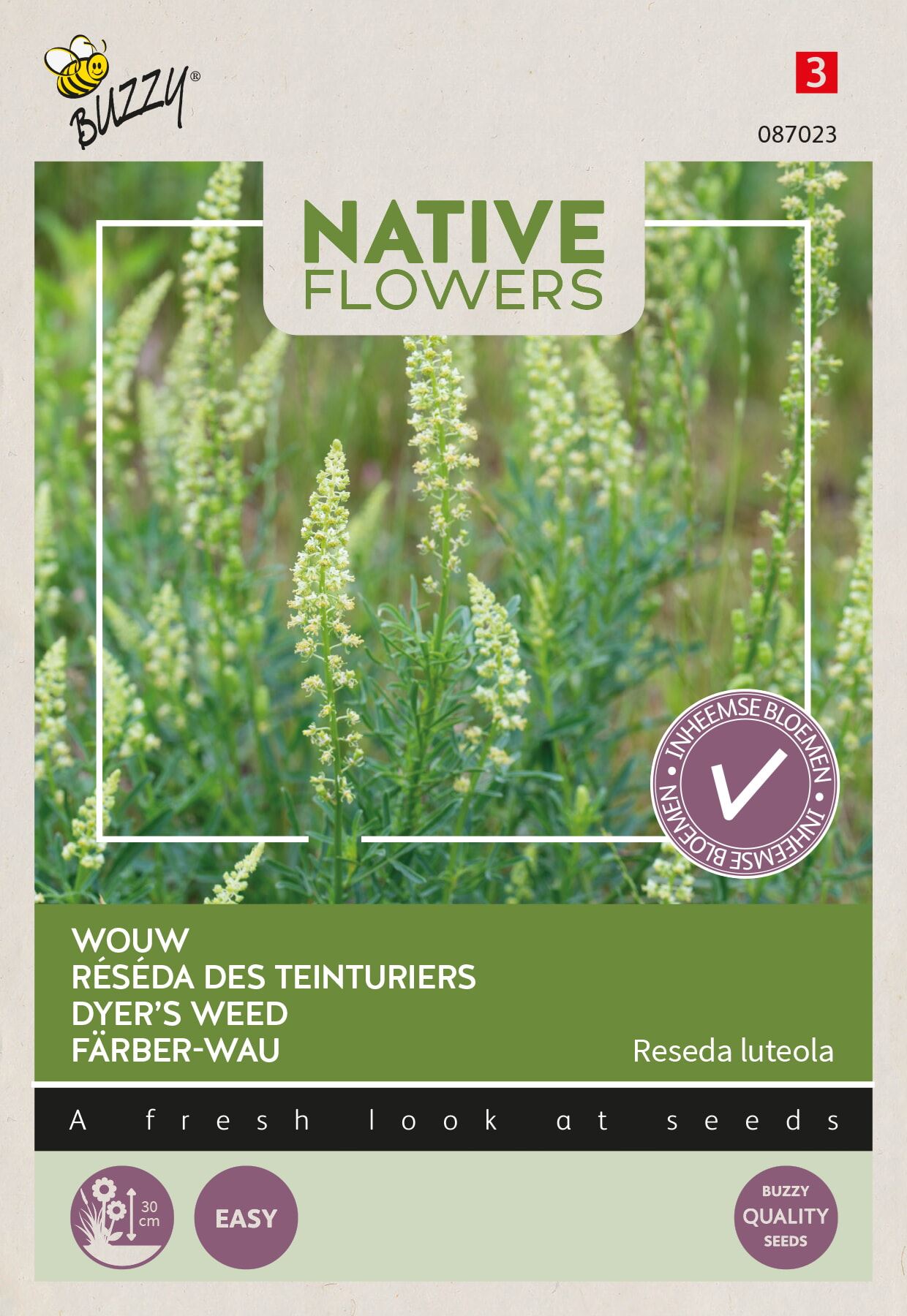 Buzzy Native Flowers inheemse wouw'Reseda luteola' afbeelding