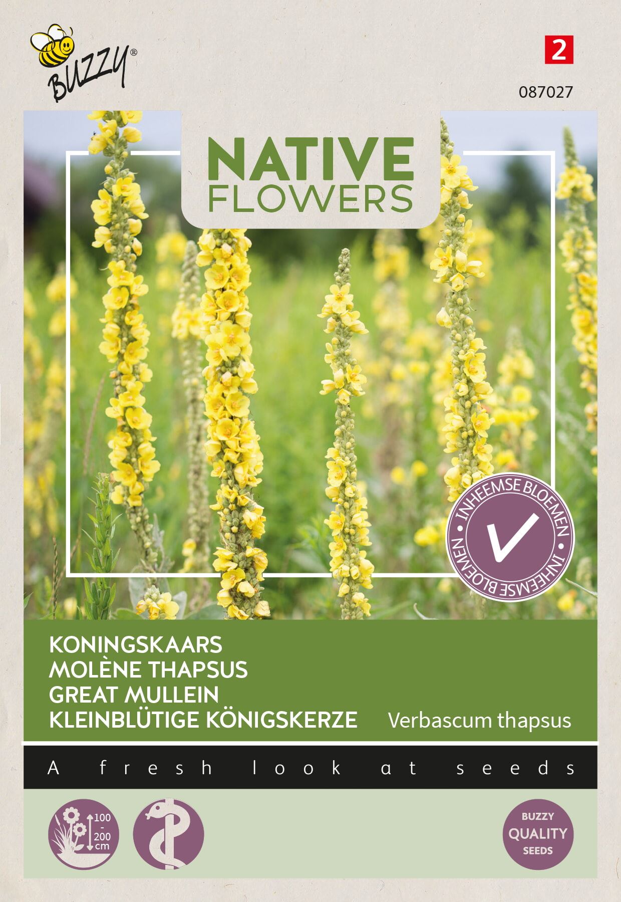 Buzzy - bloemzaden - Koningskaars Verbascum Thapsus afbeelding