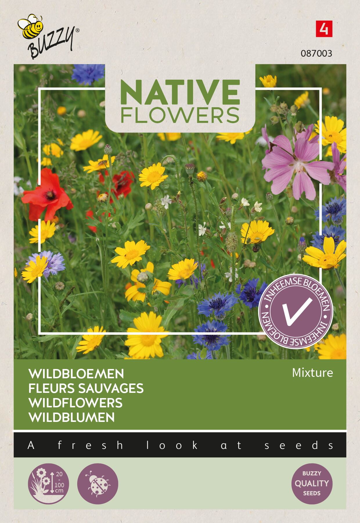 Buzzy bloemenweide - wildbloemen afbeelding