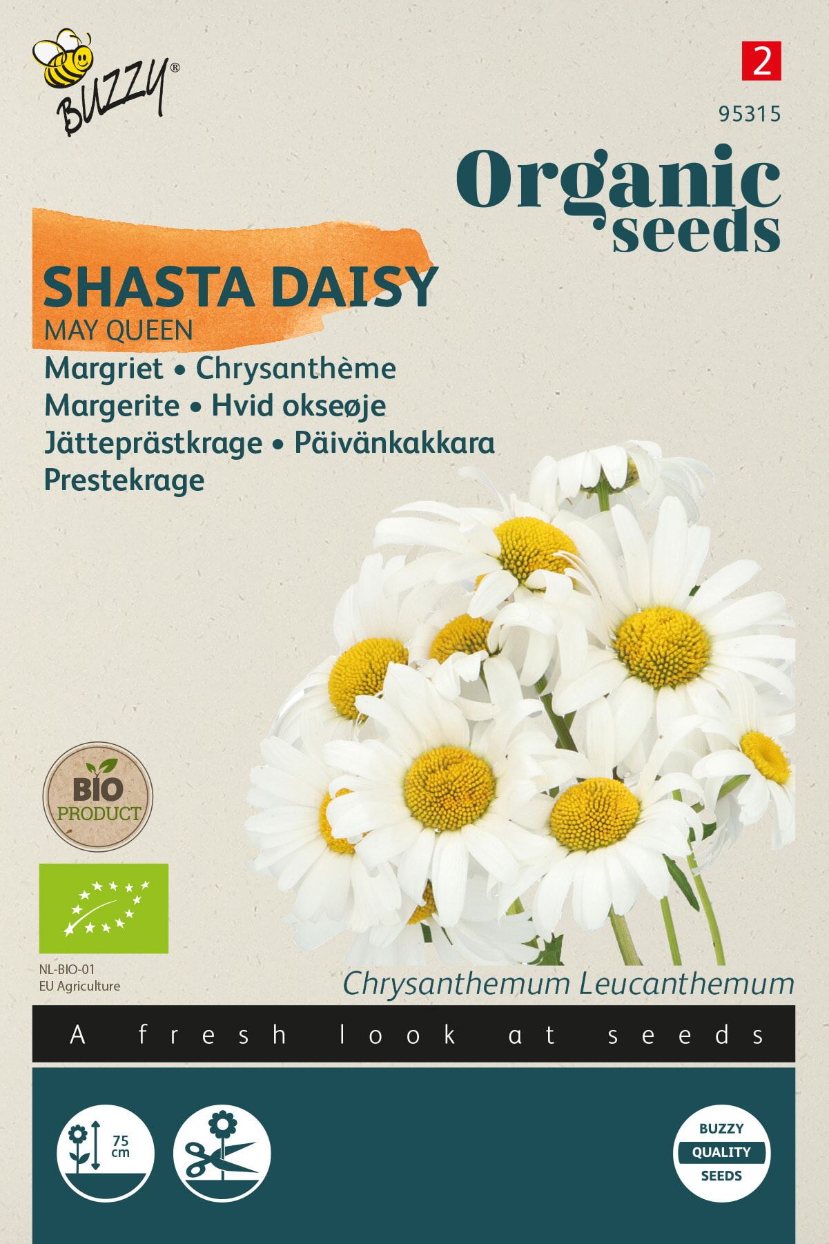 Buzzy Organic margriet'Chrysanthemum May Queen'- Biologische bloemenzaadjes - Geschikt als snijbloem afbeelding