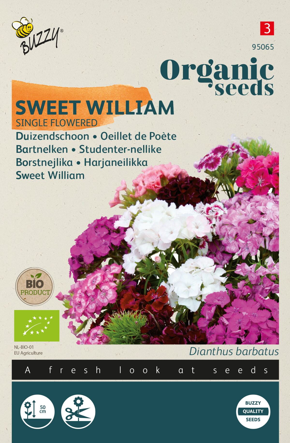 Buzzy Enkelbloemige Dianthus Mix - Geurig en Kleurrijk - Perfect voor Snijbloemen en Borders afbeelding