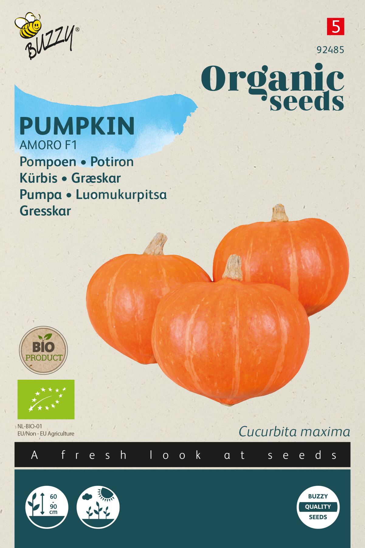 Buzzy Organic biologische Cucurbita Maxima (Pompoen) Amoro F1 - Groentenzaden - Ca. 6 zaden afbeelding