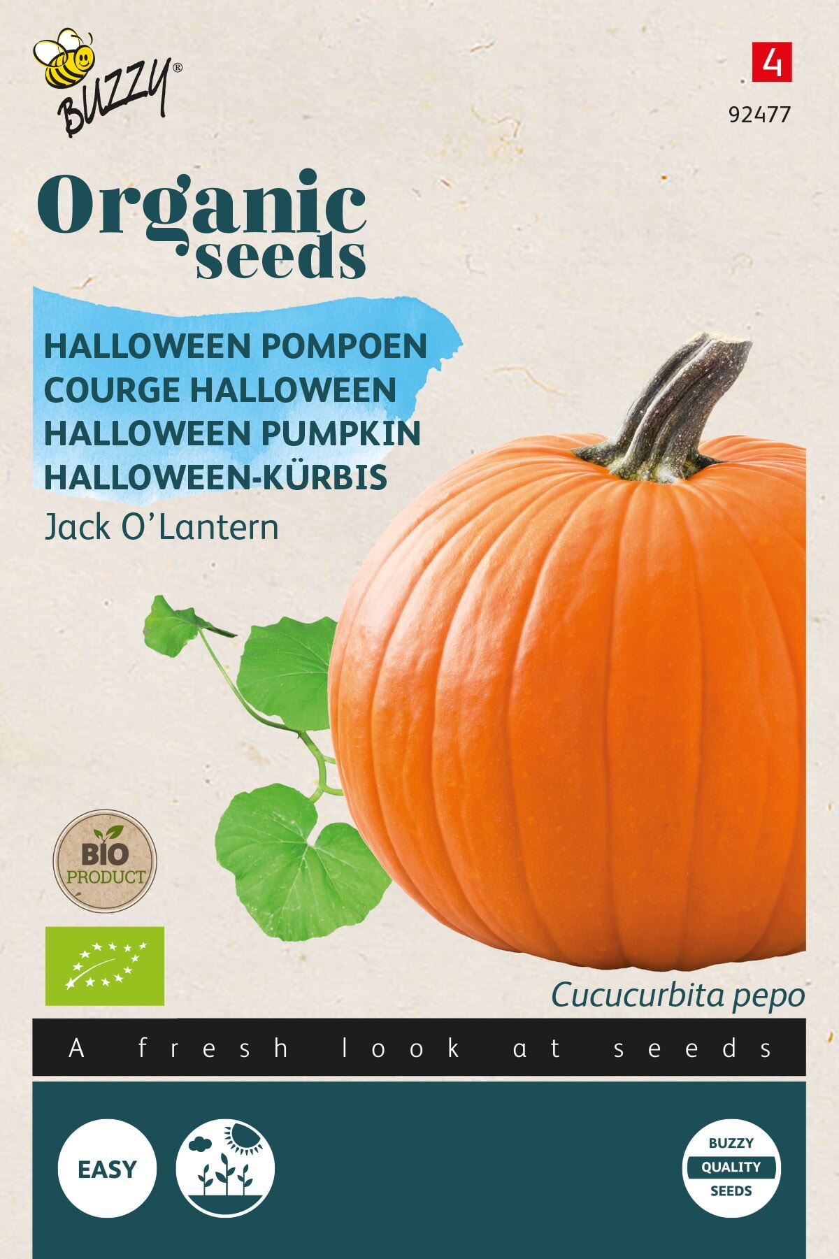 Buzzy® Bio Pompoen zaden - Jack O'Lantern afbeelding