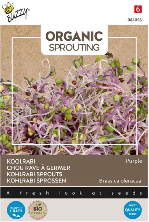 Buzzy Sprouting Koolrabi rood afbeelding