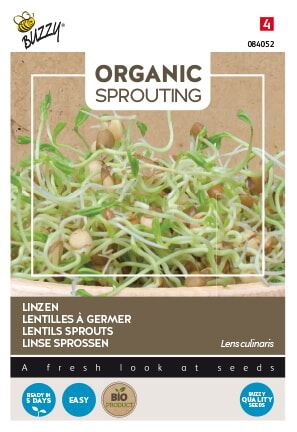 Buzzy® Bio Linzen zaden - spruitend afbeelding