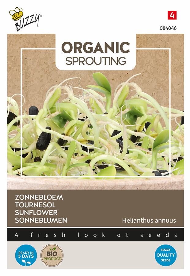 Buzzy Organic Sprouting biologische zonnebloemkers - Zonnebloem spruitgroente - Groentenzaden - Ca. 30 gram afbeelding