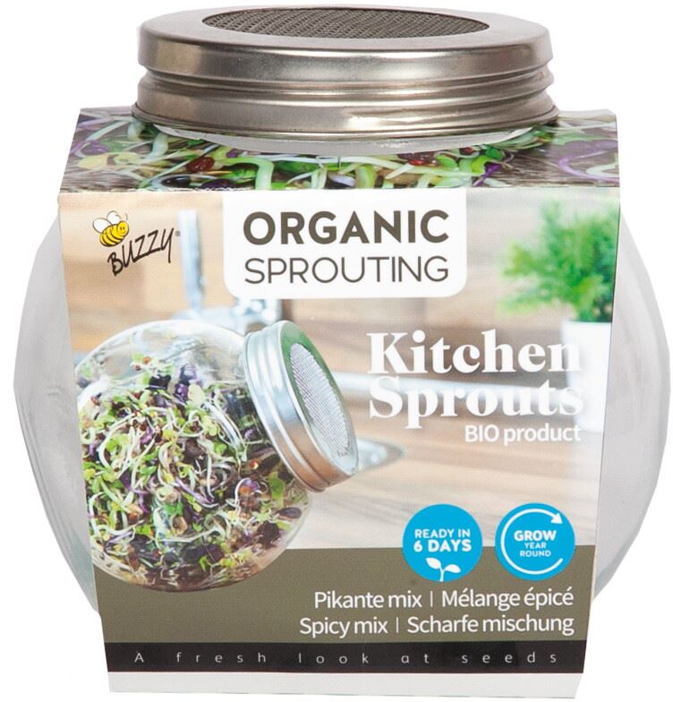 Buzzy - spruitgroente Pikante salade - glazen pot afbeelding