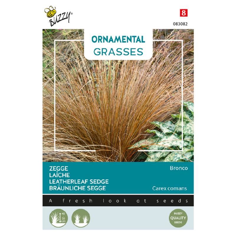 Buzzy Ornamental Grasses'Carex comans Bronco'- Dichte pol met brons / roodbruine bladeren afbeelding