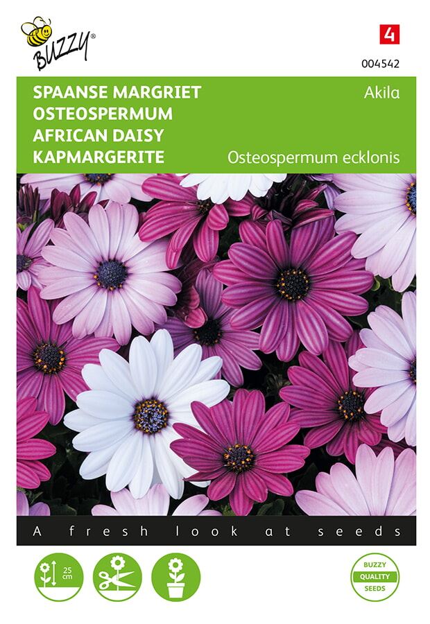 Buzzy® Spaanse Margriet zaden - Akila mix afbeelding