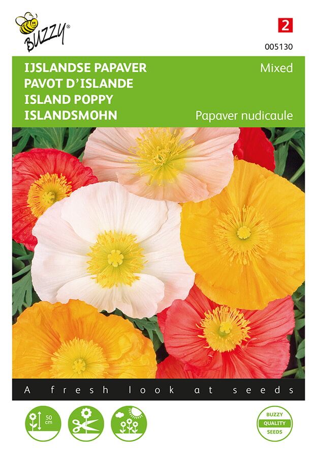 Buzzy® IJslandse Papaver zaden - Excelsior - gemengd afbeelding