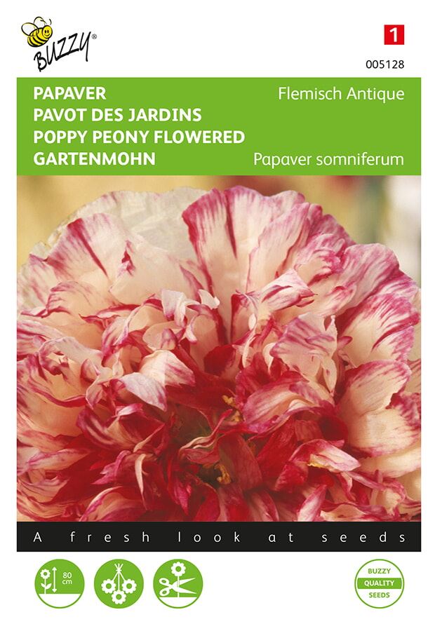 Buzzy® bloemzaden - Papaver Slaapbol  - Flemish Antique afbeelding
