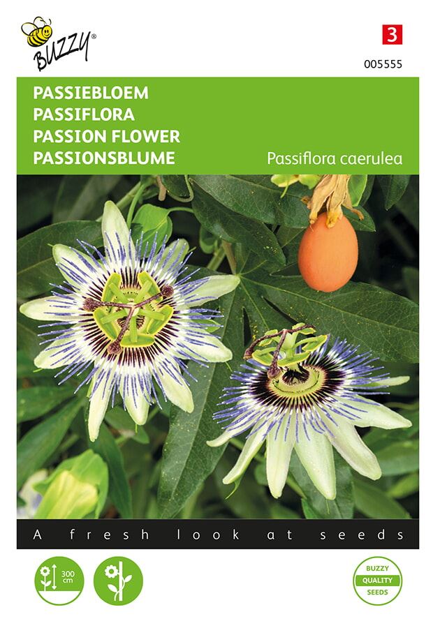 Buzzy® Passiebloem zaden afbeelding