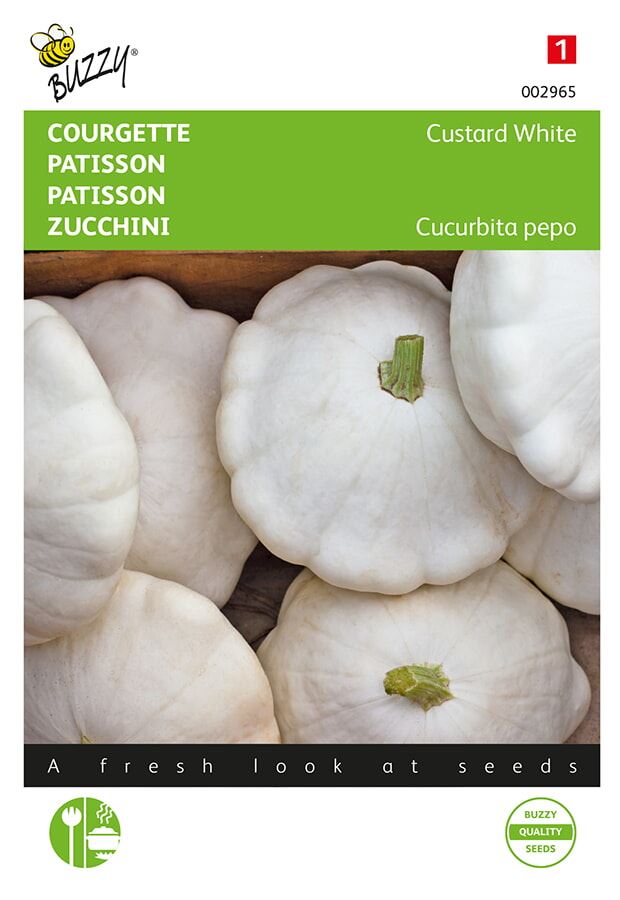Buzzy® Patisson zaden - Custard White afbeelding