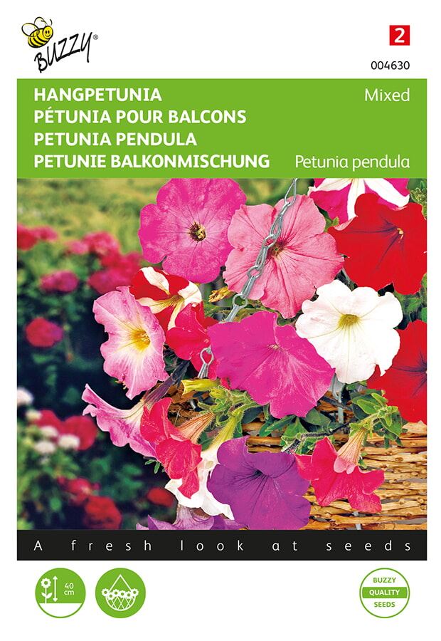 Buzzy® Hangpetunia zaden - Pendula - gemengd afbeelding