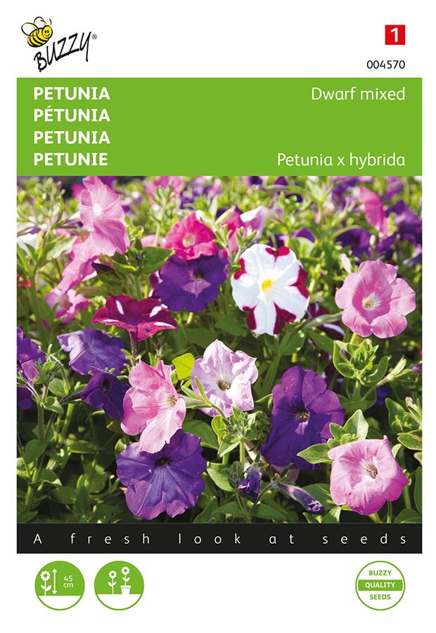 Buzzy® Petunia zaden - Laag - gemengd afbeelding