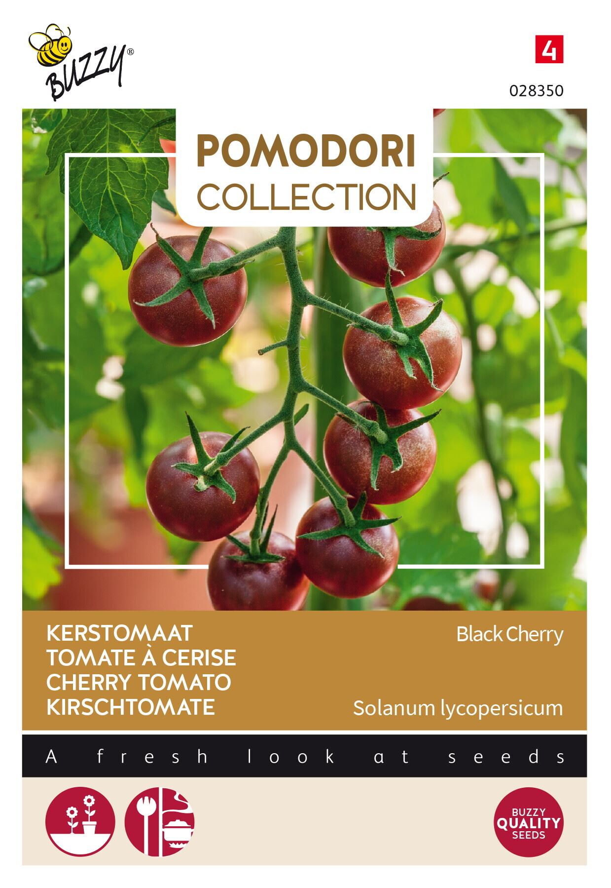 Buzzy® Tomaat zaden - Black Cherry afbeelding