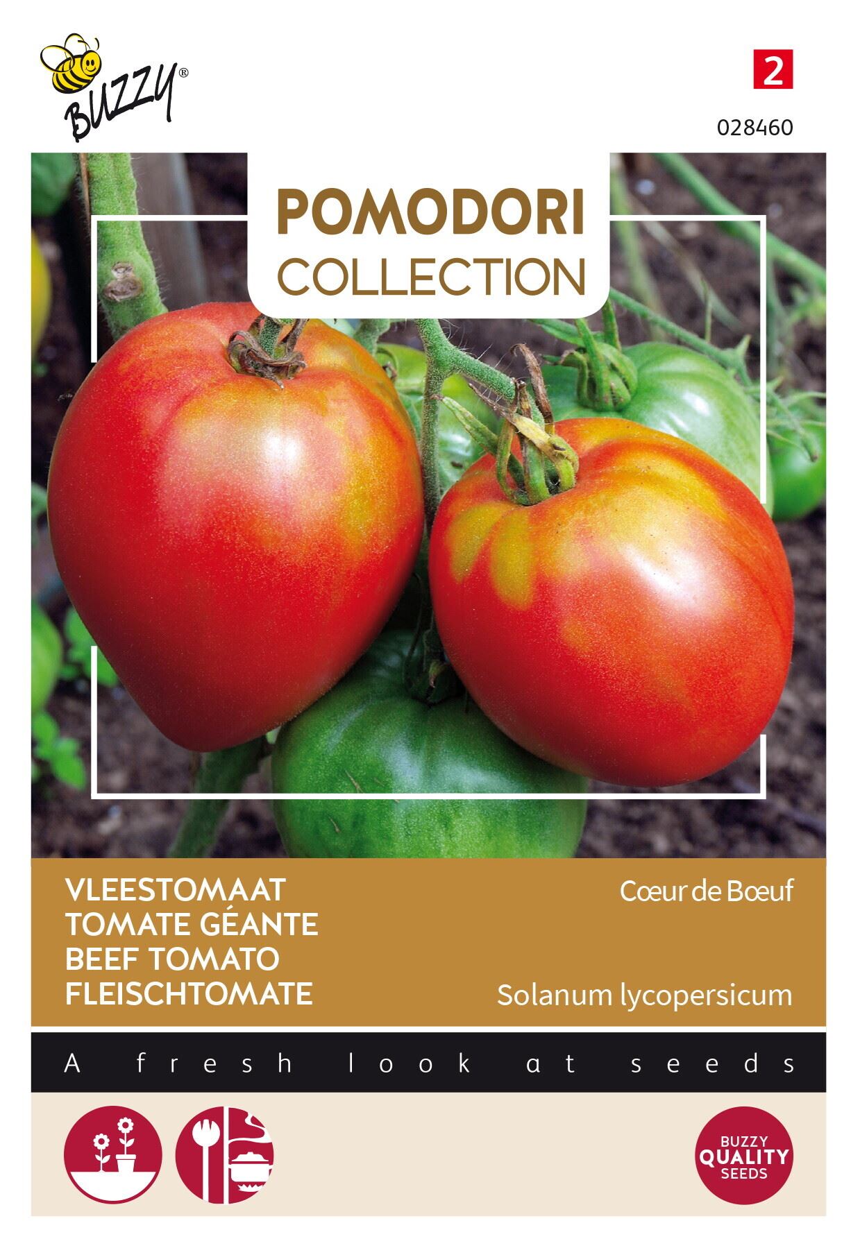Buzzy® Tomaat zaden - Coeur de boeuf vleestomaat afbeelding