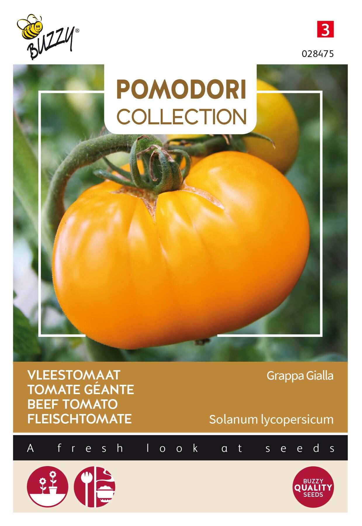 Buzzy® Tomaat zaden - Grappa Gialla afbeelding