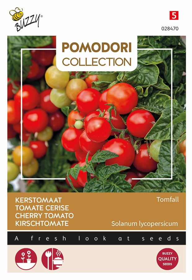 Buzzy Pomodiro Tomfall (Kerstomaat) - Groentenzaden - Ca. 0,1 gram afbeelding