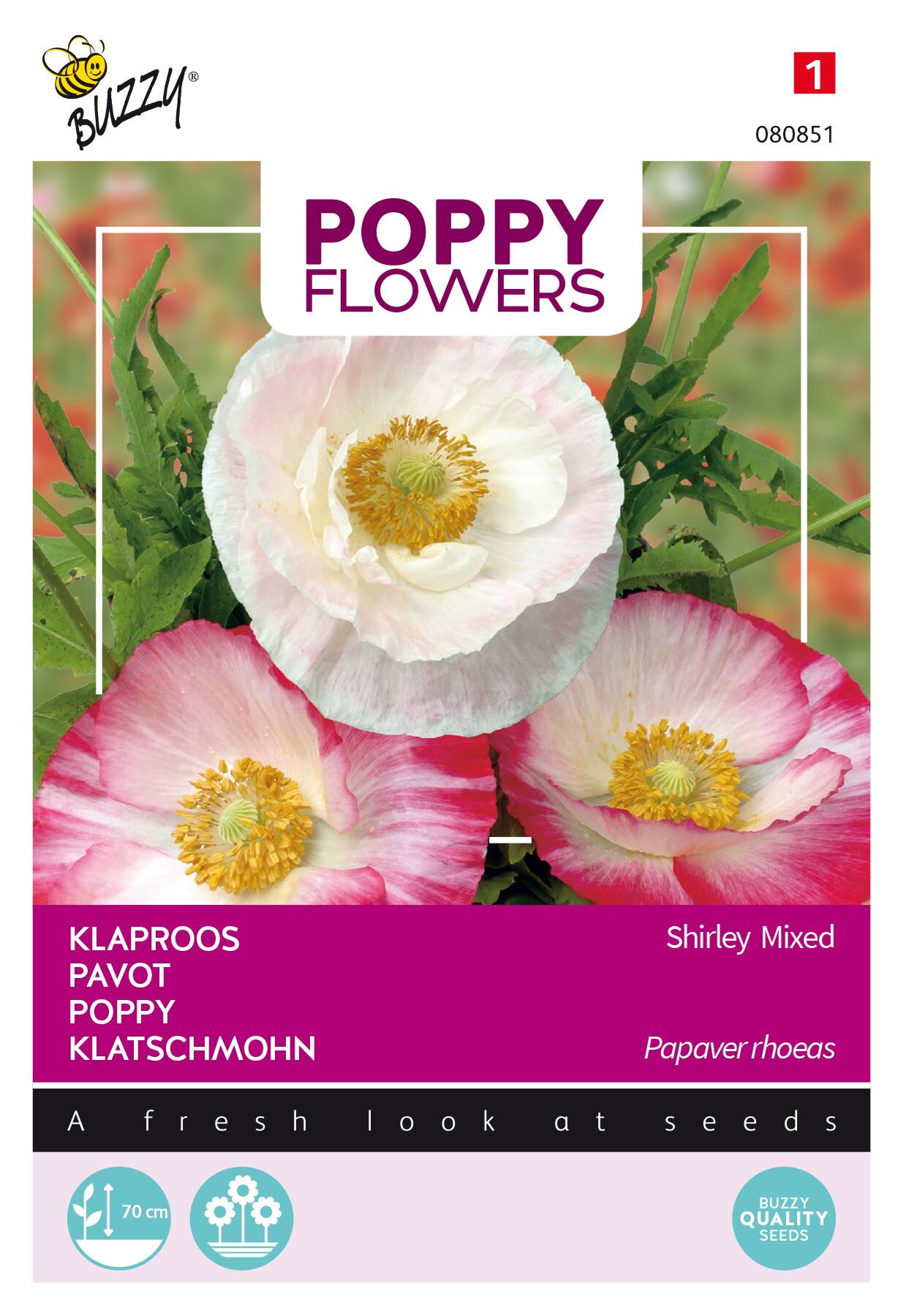 Buzzy® Poppies Of The World - Klaproos zaden - gemengd afbeelding