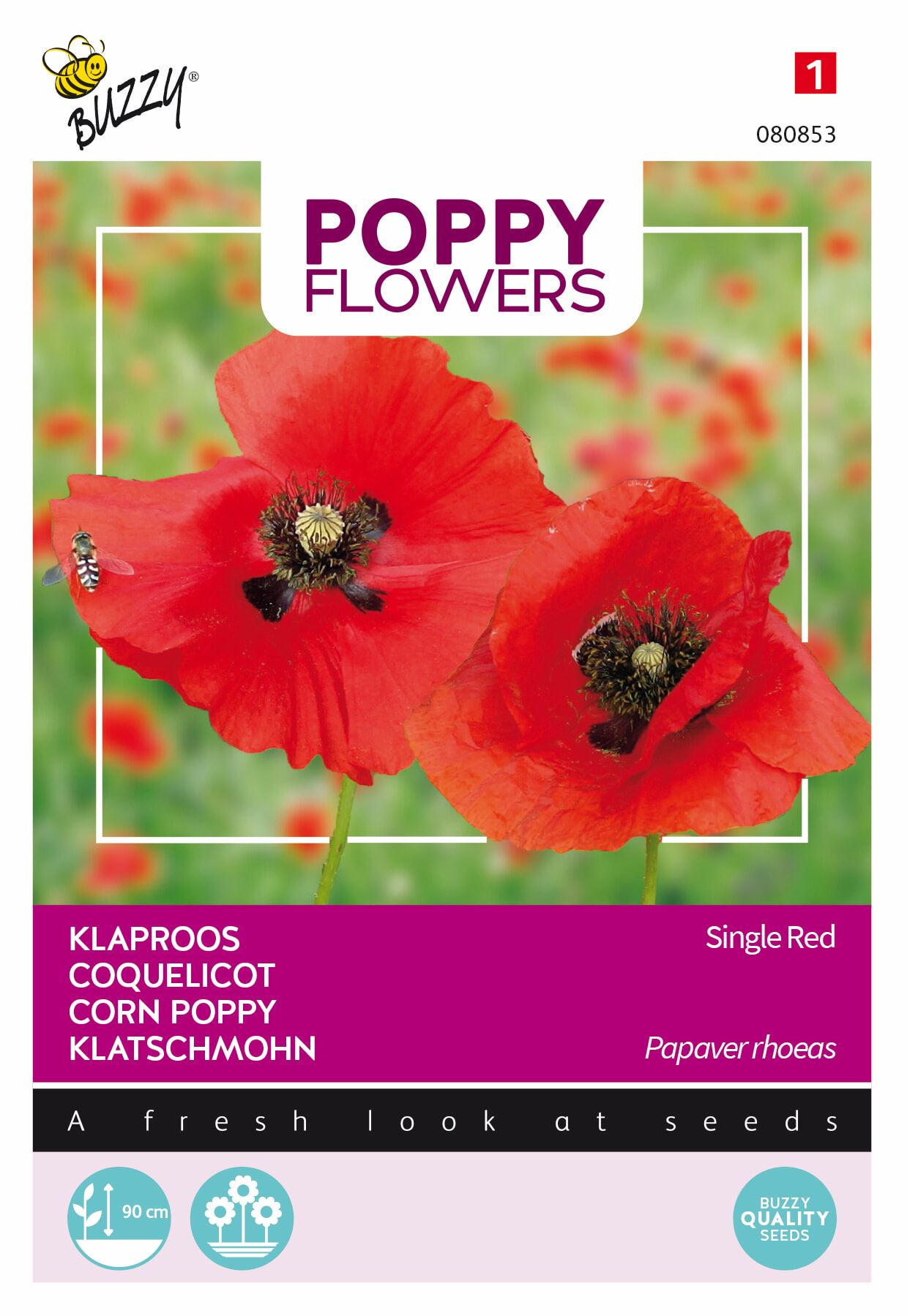 Buzzy® Poppies Of The World - Klaproos zaden - Rhoeas Rood afbeelding