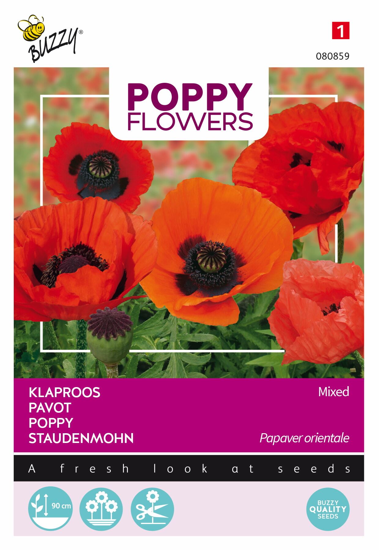 Buzzy® Poppies of the World - Papaver zaden - Orientaalse klaproos afbeelding