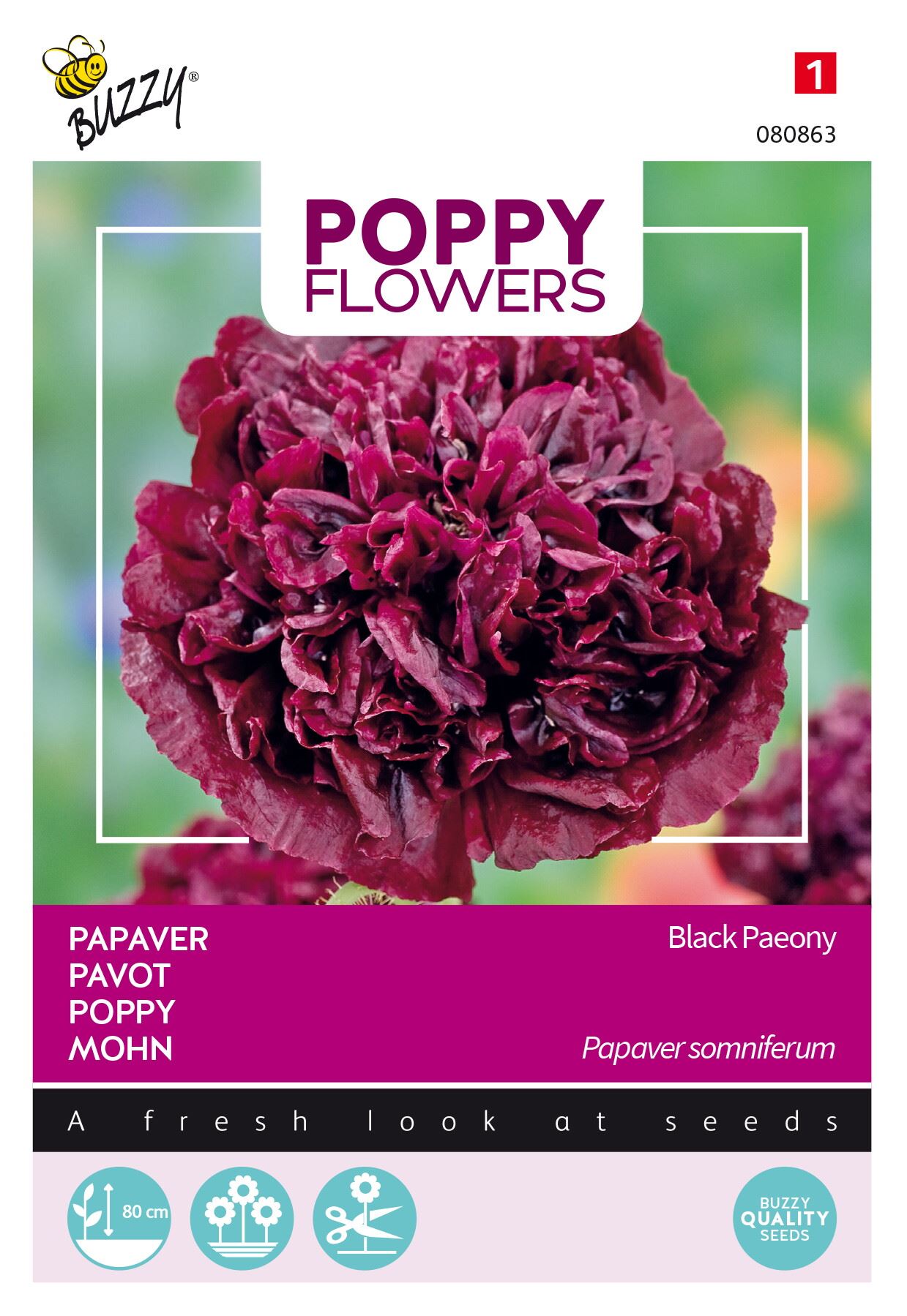Buzzy® Poppies of the World - Papaver zaden - Black Paeony afbeelding