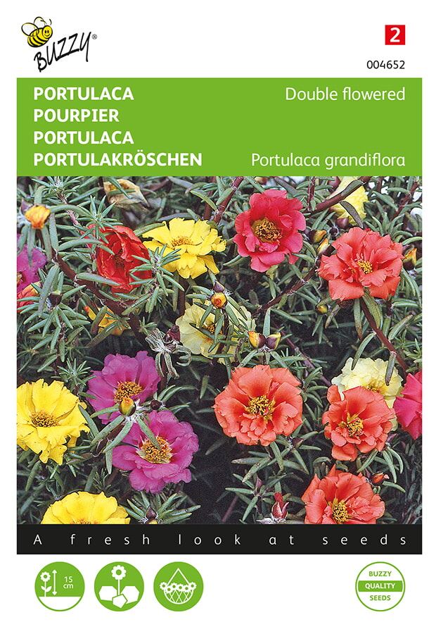 Buzzy® Portulaca zaden - Dubbelbloemig - gemengd afbeelding
