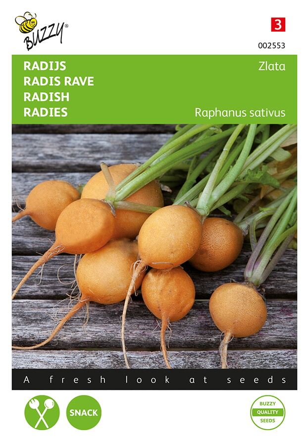 Buzzy® Radijs zaden - Zlata - geel afbeelding