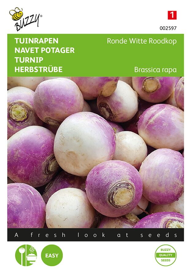 Buzzy® Rapen zaden - Ronde Witte Roodkop - de Nancy afbeelding