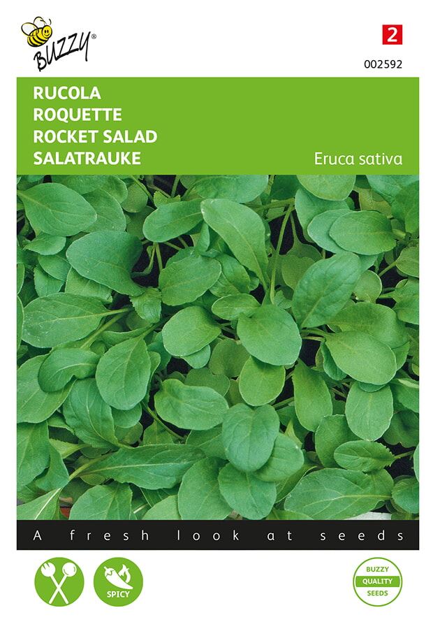 Buzzy® Rucola zaden - Roquette afbeelding