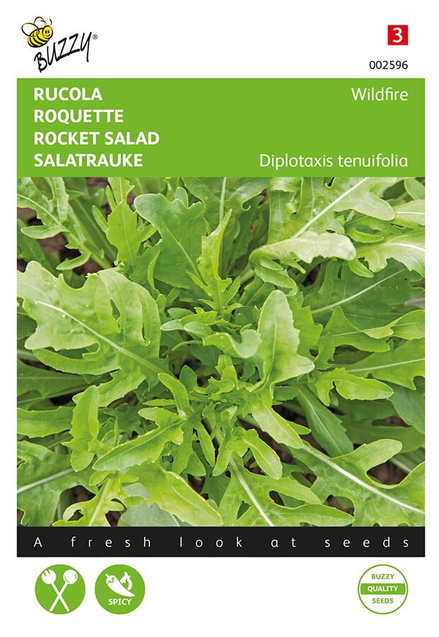 Buzzy® Rucola zaden - Wasabi afbeelding