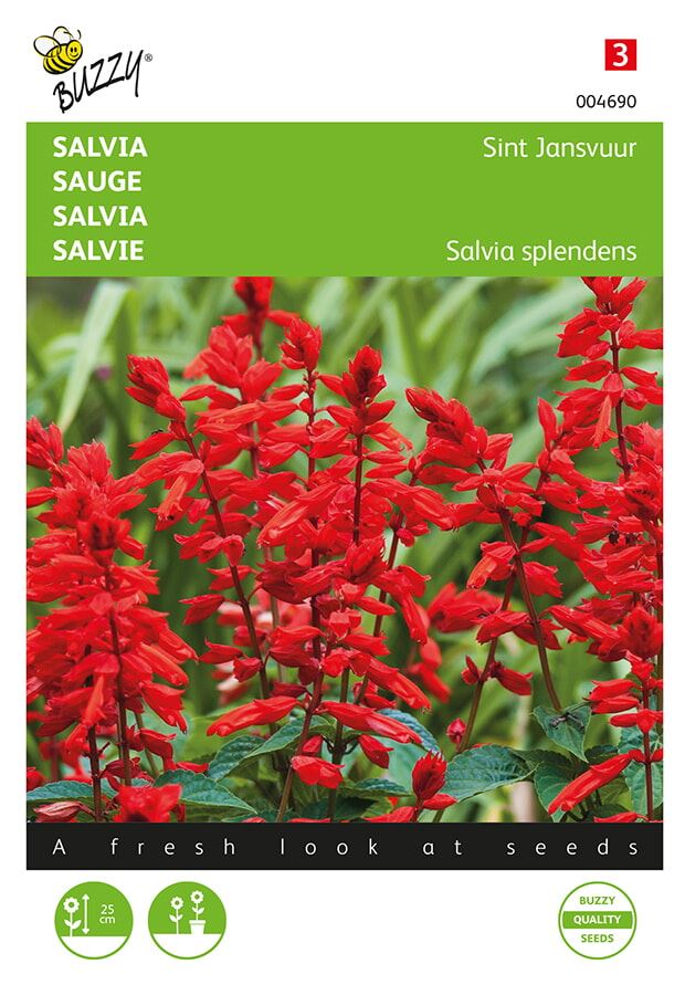 Buzzy® Salvia zaden - Sint Jansvuur afbeelding